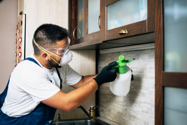 Professional Pest Control in Eastport, ME