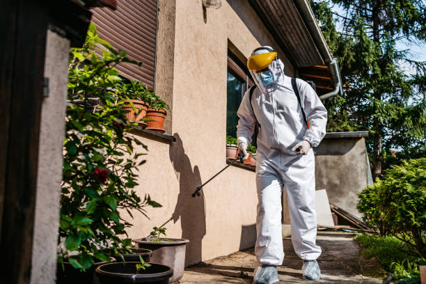 Best Rat Extermination Near Me  in Eastport, ME