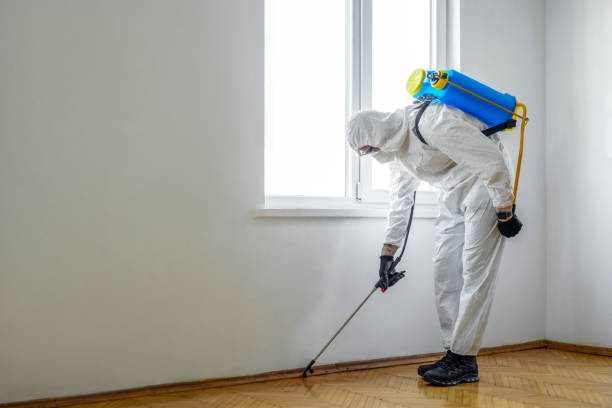Best Emergency Pest Control  in Eastport, ME