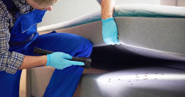 Best Pest Inspection Near Me  in Eastport, ME