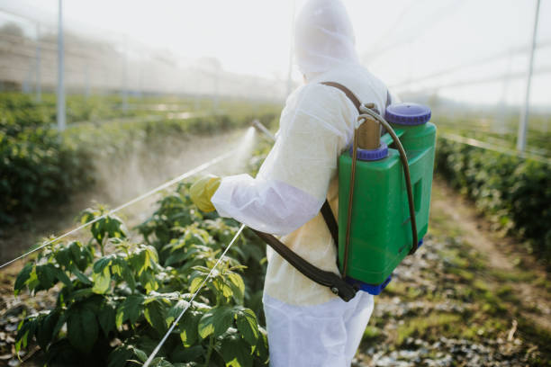Best Termite Control Services  in Eastport, ME